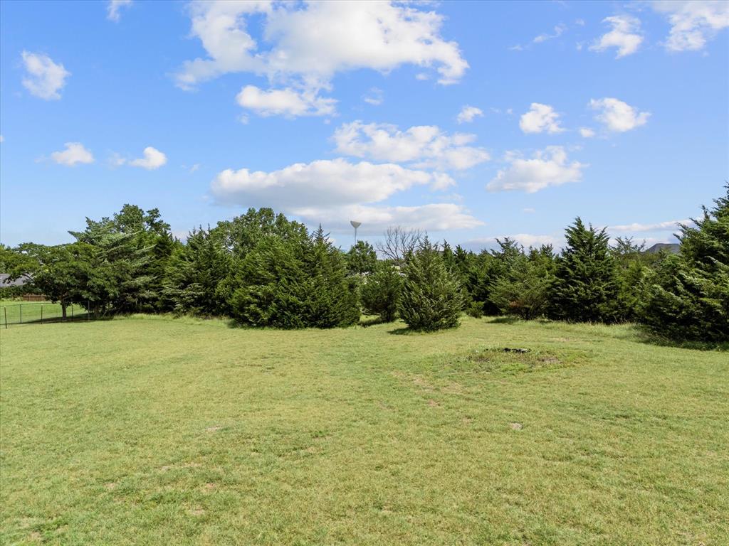 520 Cornelius Road Rockwall, TX 75087 - Photo 7 of 18 Gorgeous trees line the rear of the property