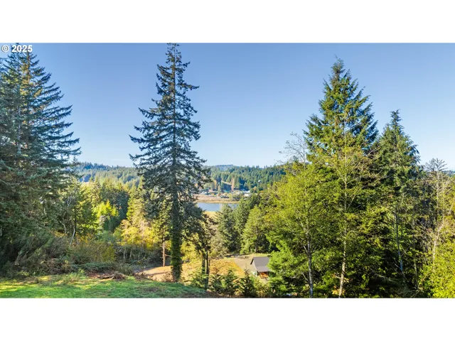 a view of a back yard with green space