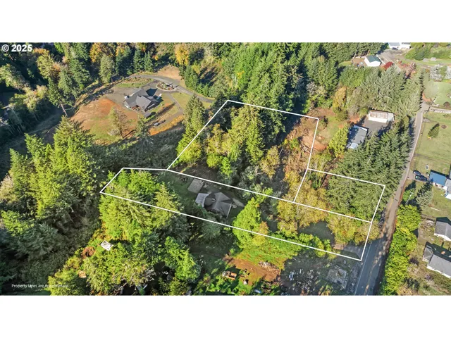 a view of a yard with plants and a bench