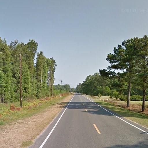 28001 La Hwy 22 Parcels Rj2-b Rj2-c And Rj2-d Highway Killian, LA 70462 - Photo 2 of 2 Gallery Image 2