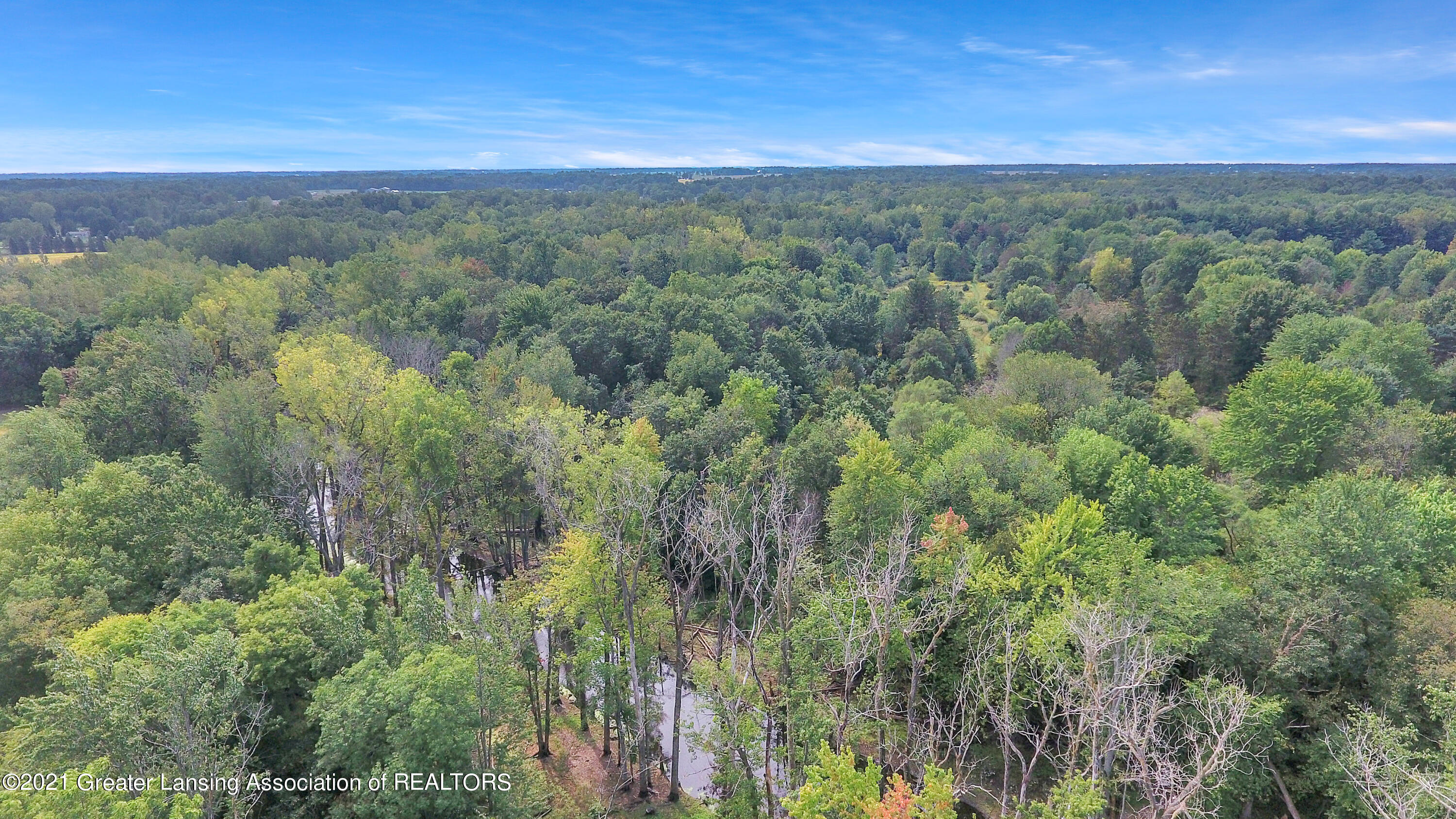 10561 South Chandler Road Dewitt, MI 48820 - Photo 46 of 46 Aerial View