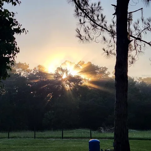 $415,000 | 38550 Ilex Trail, Eustis, FL 32736