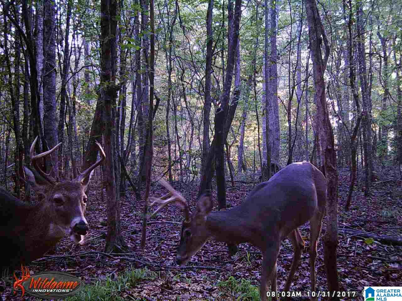 2111 Red Oak Road Helena, AL 35080 - Photo 32 of 34