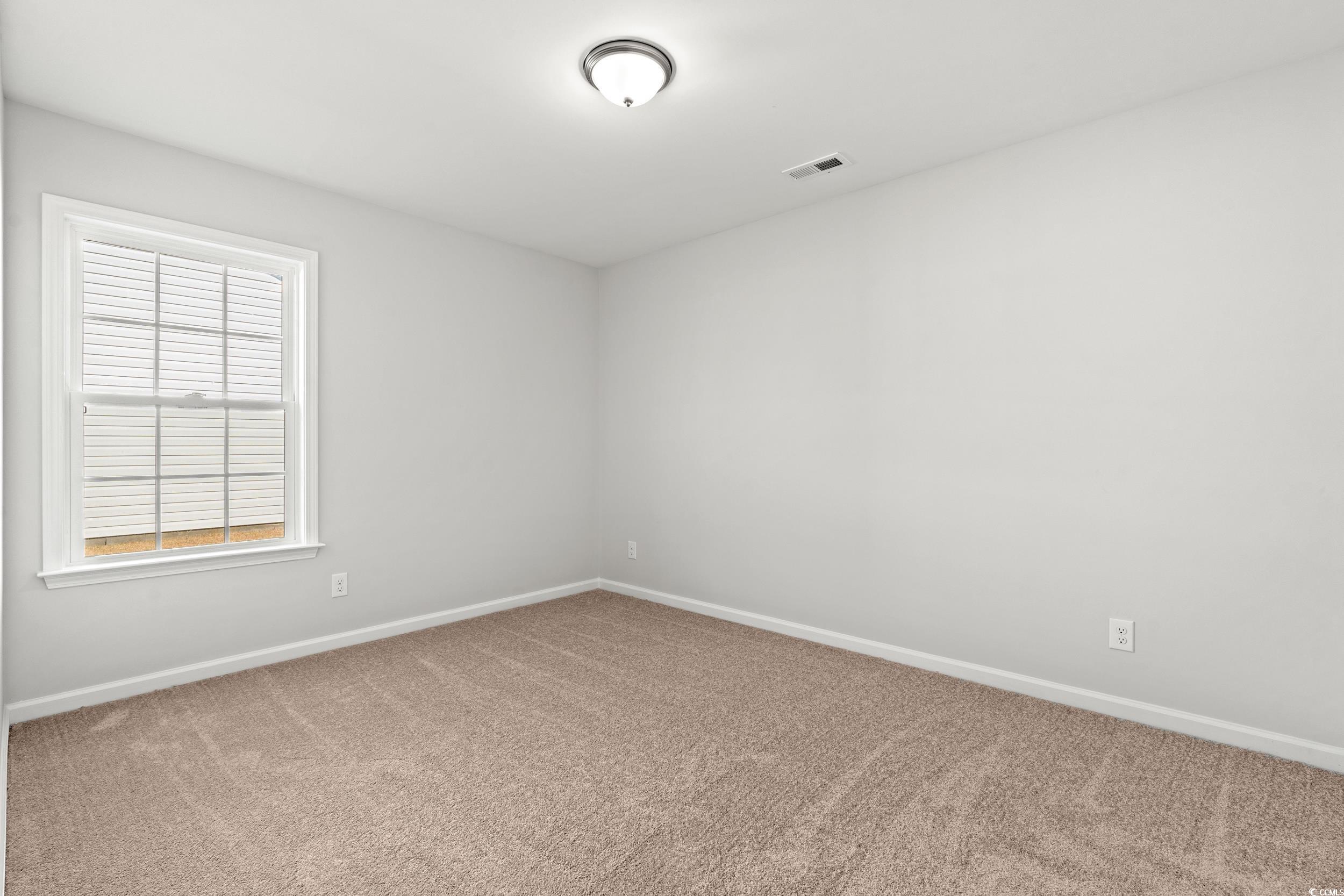 338 Barn Owl Way Conway, SC 29526 - Photo 15 of 18