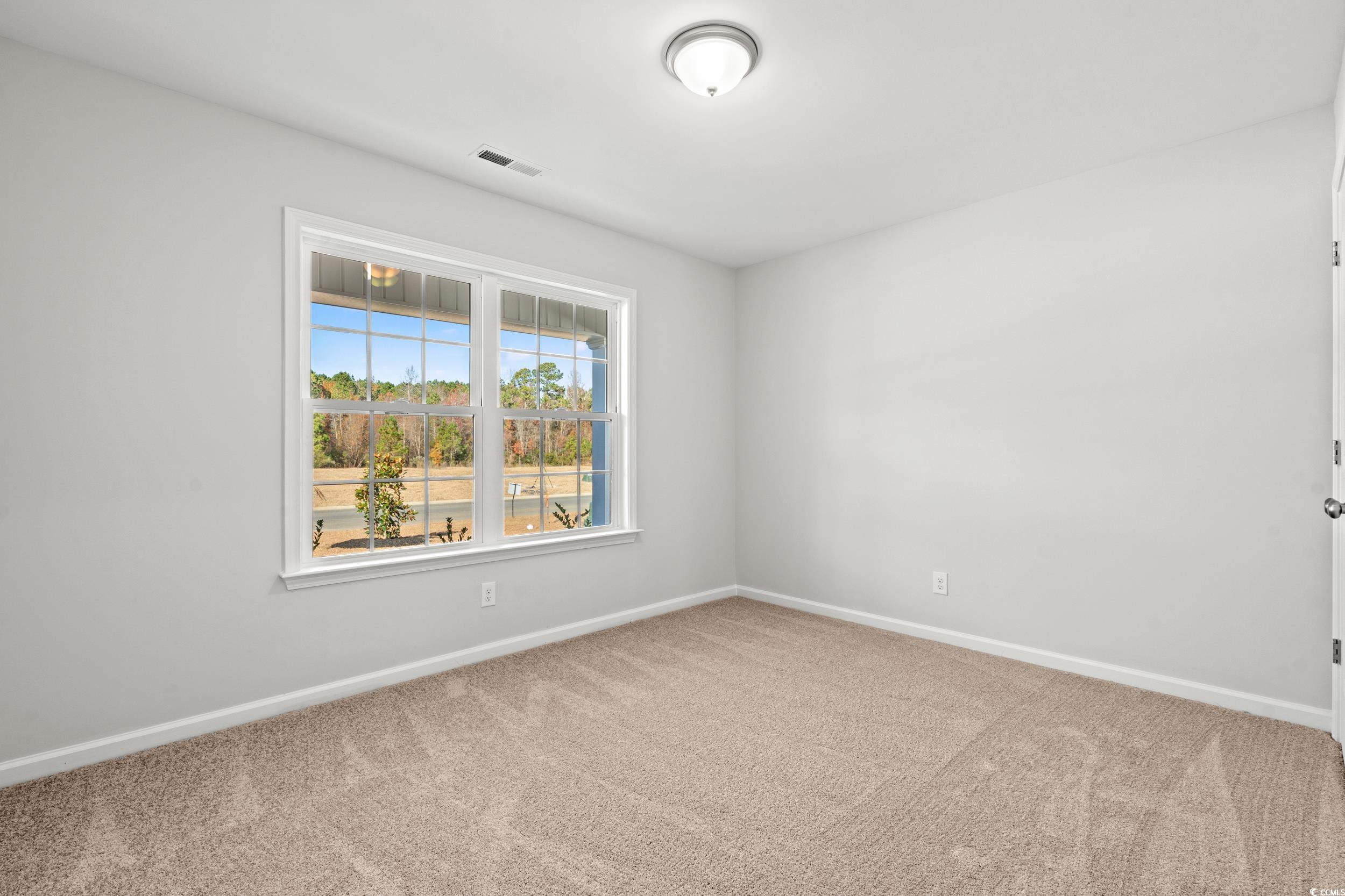 338 Barn Owl Way Conway, SC 29526 - Photo 18 of 18