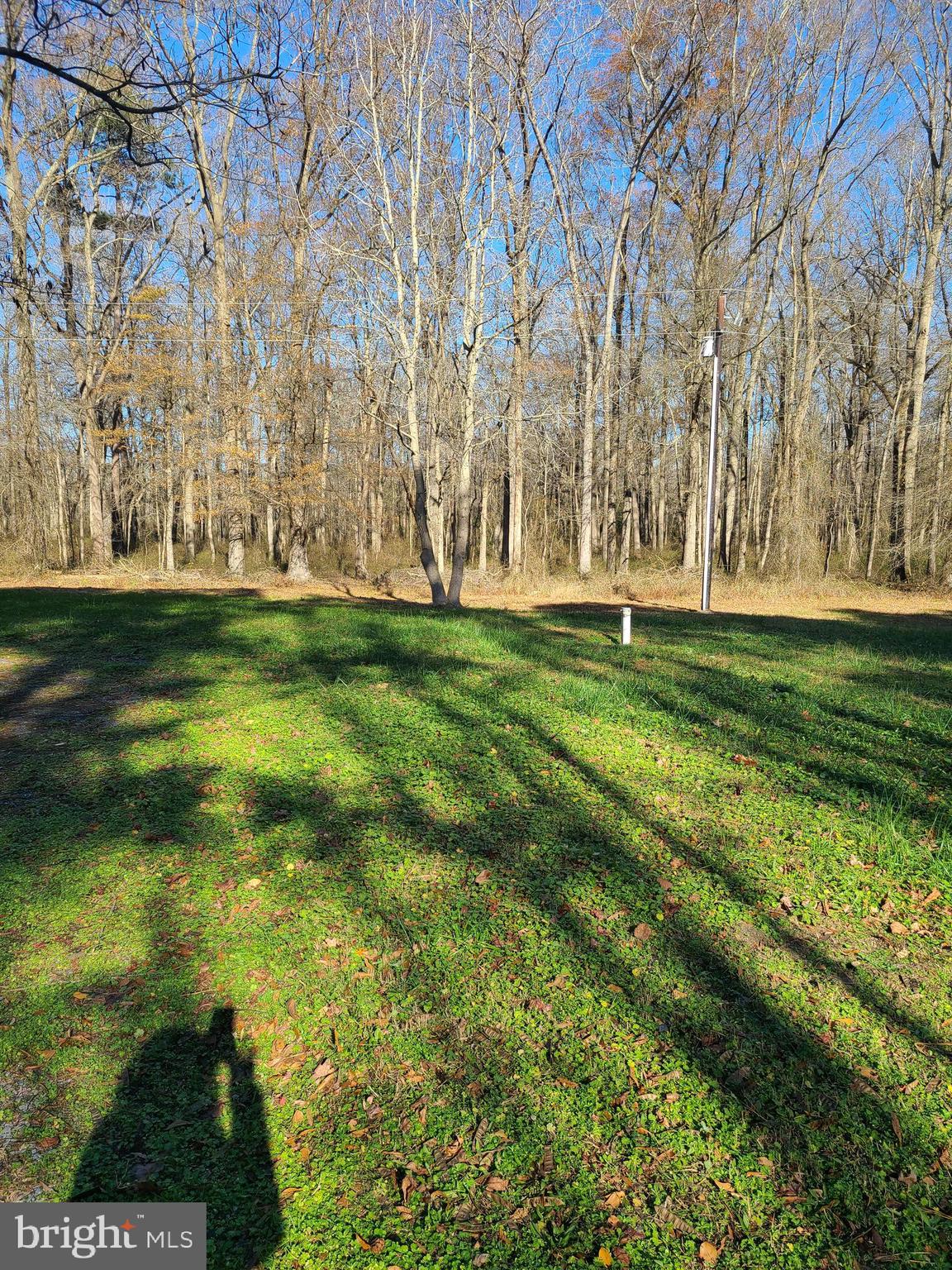 4722 Centennial Road Vienna, MD 21869 - Photo 28 of 41