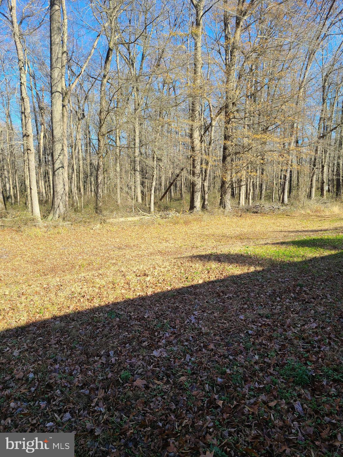 4722 Centennial Road Vienna, MD 21869 - Photo 39 of 41 Across the road