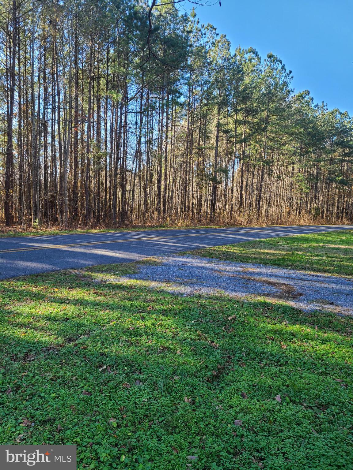 4722 Centennial Road Vienna, MD 21869 - Photo 40 of 41 Street view