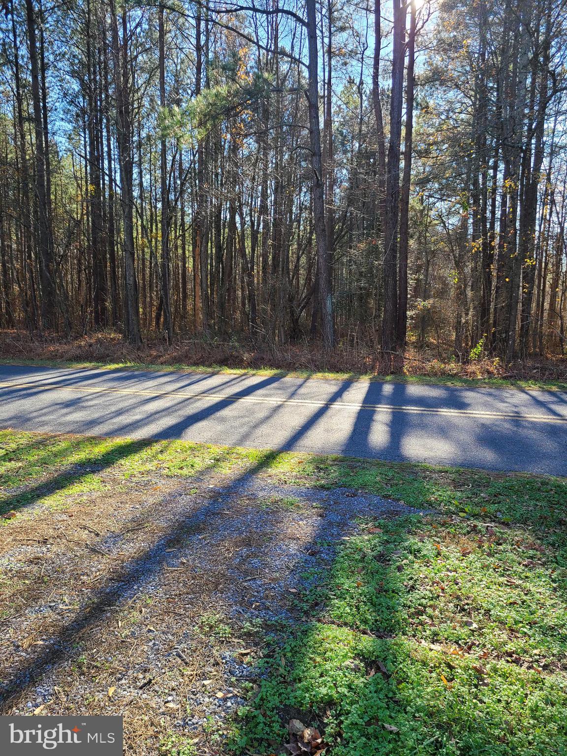 4722 Centennial Road Vienna, MD 21869 - Photo 41 of 41 Street view