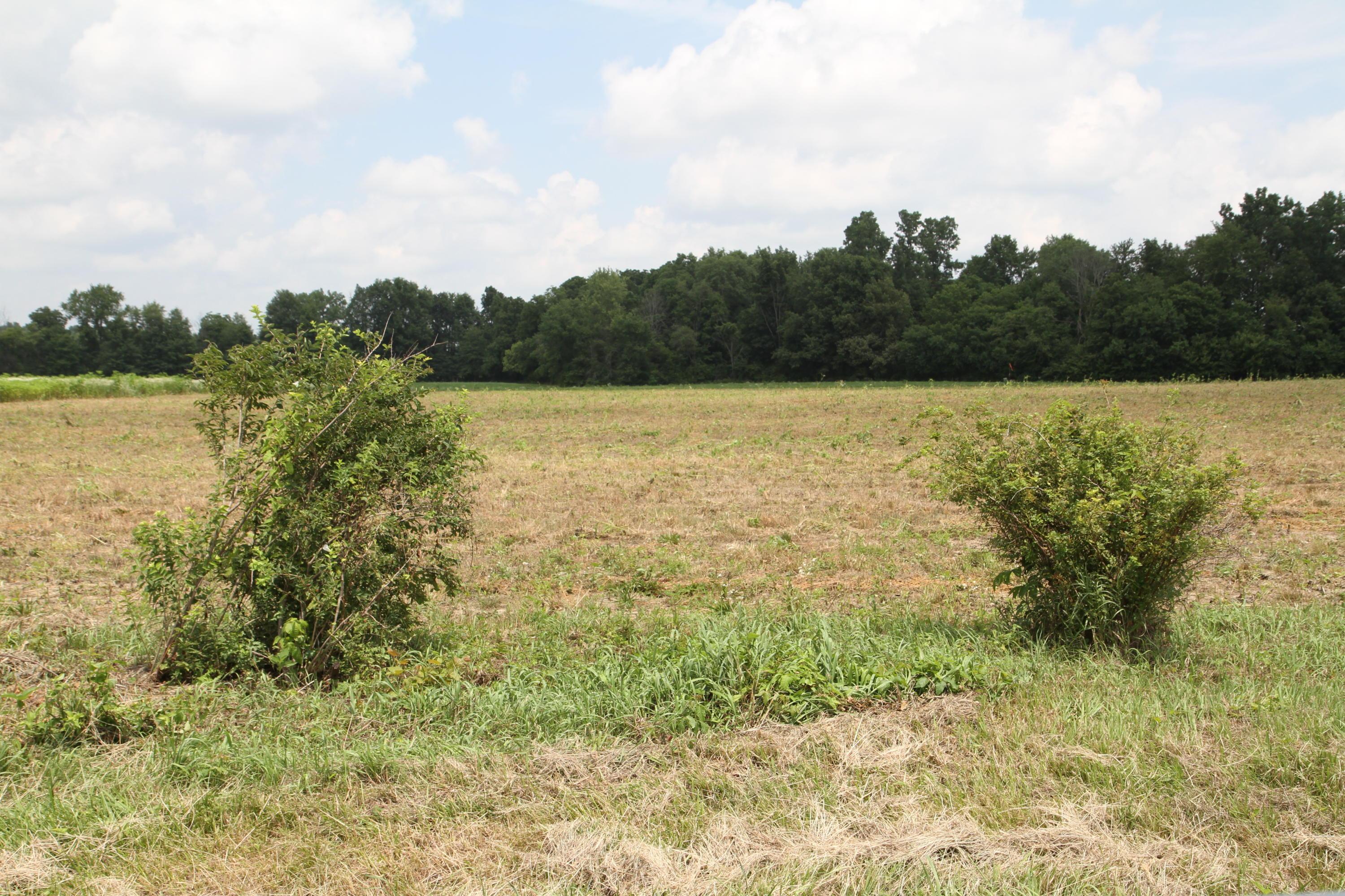 0 Twp Road Waldo, OH 43356 - Photo 4 of 8