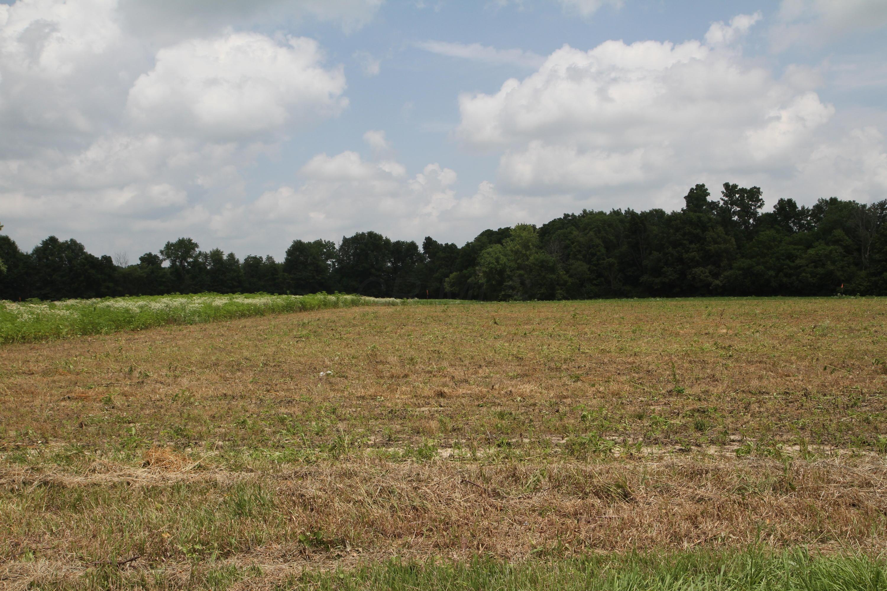 0 Twp Road Waldo, OH 43356 - Photo 5 of 8