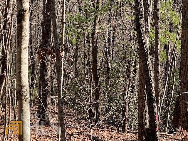 5 Sunrock Mountain Trace Blue Ridge, GA 30513 - Photo 2 of 10