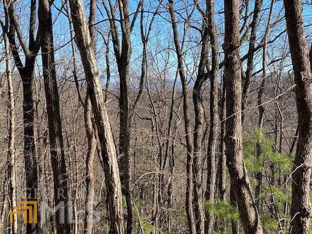 5 Sunrock Mountain Trace Blue Ridge, GA 30513 - Photo 4 of 10