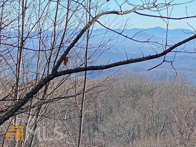5 Sunrock Mountain Trace Blue Ridge, GA 30513 - Photo 6 of 10 a view of a yard with a snow
