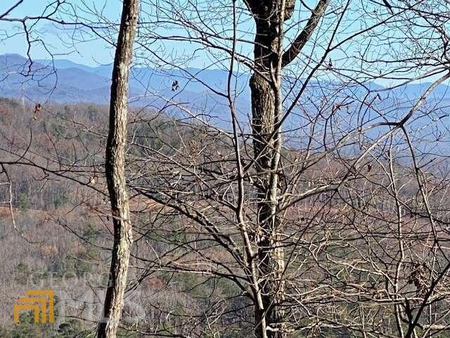 5 Sunrock Mountain Trace Blue Ridge, GA 30513 - Photo 8 of 10 a backyard of a house with lots of green space