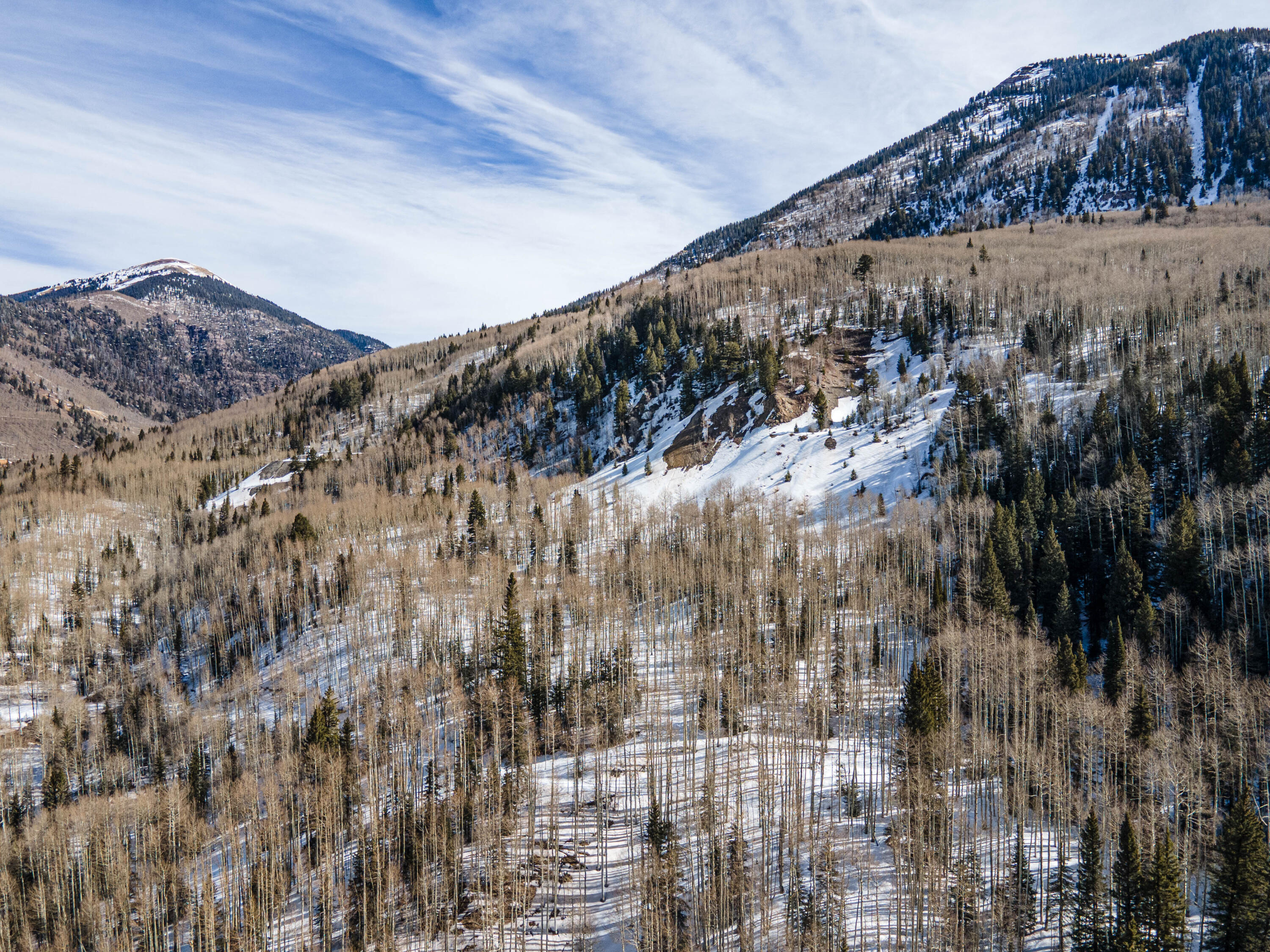 Tbd Tbd Rico, CO 81332 - Photo 17 of 38 Rico_TellurideProperties_NR_48