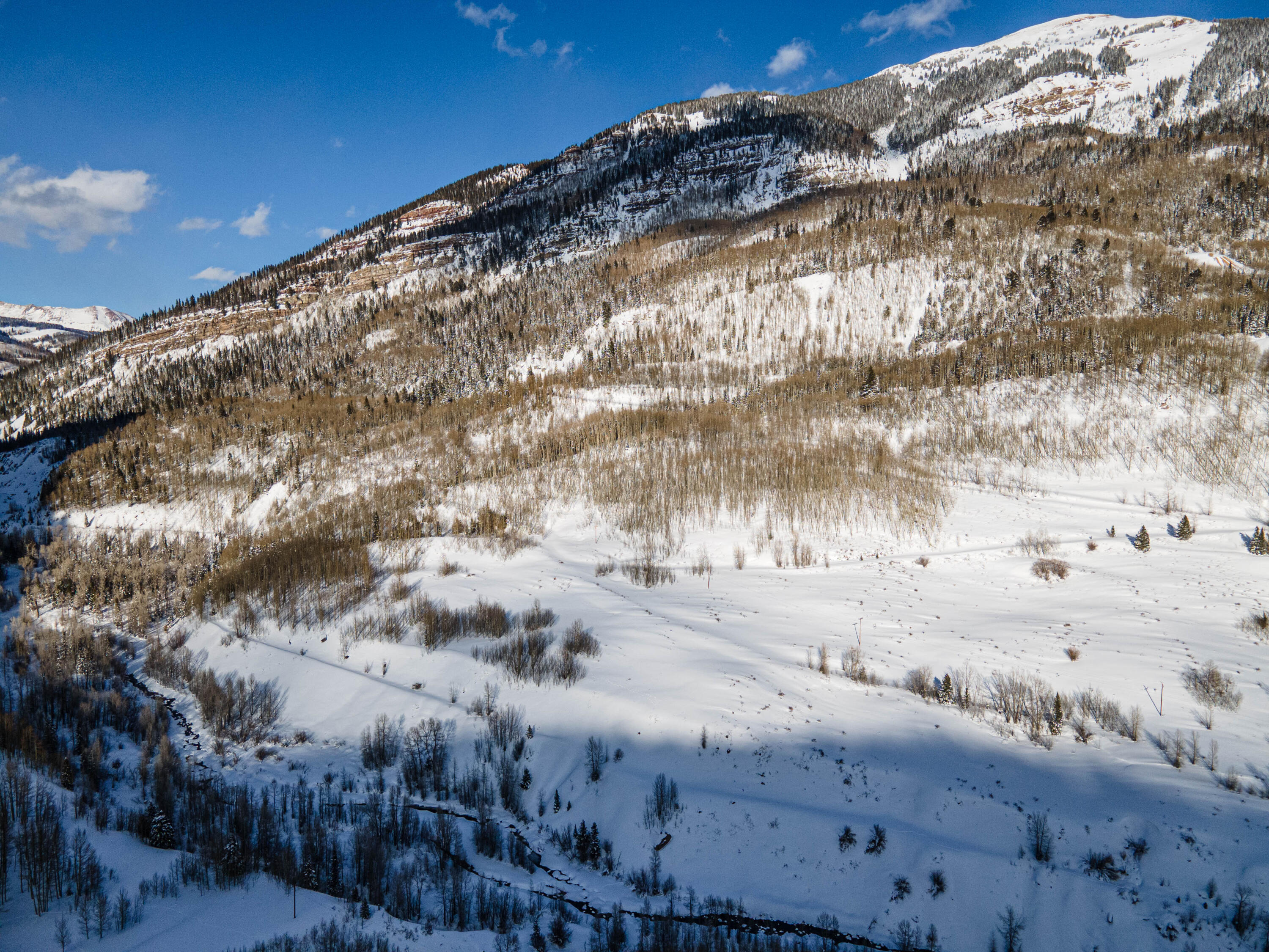 Tbd Tbd Rico, CO 81332 - Photo 3 of 38 Rico_TellurideProperties_NR_06