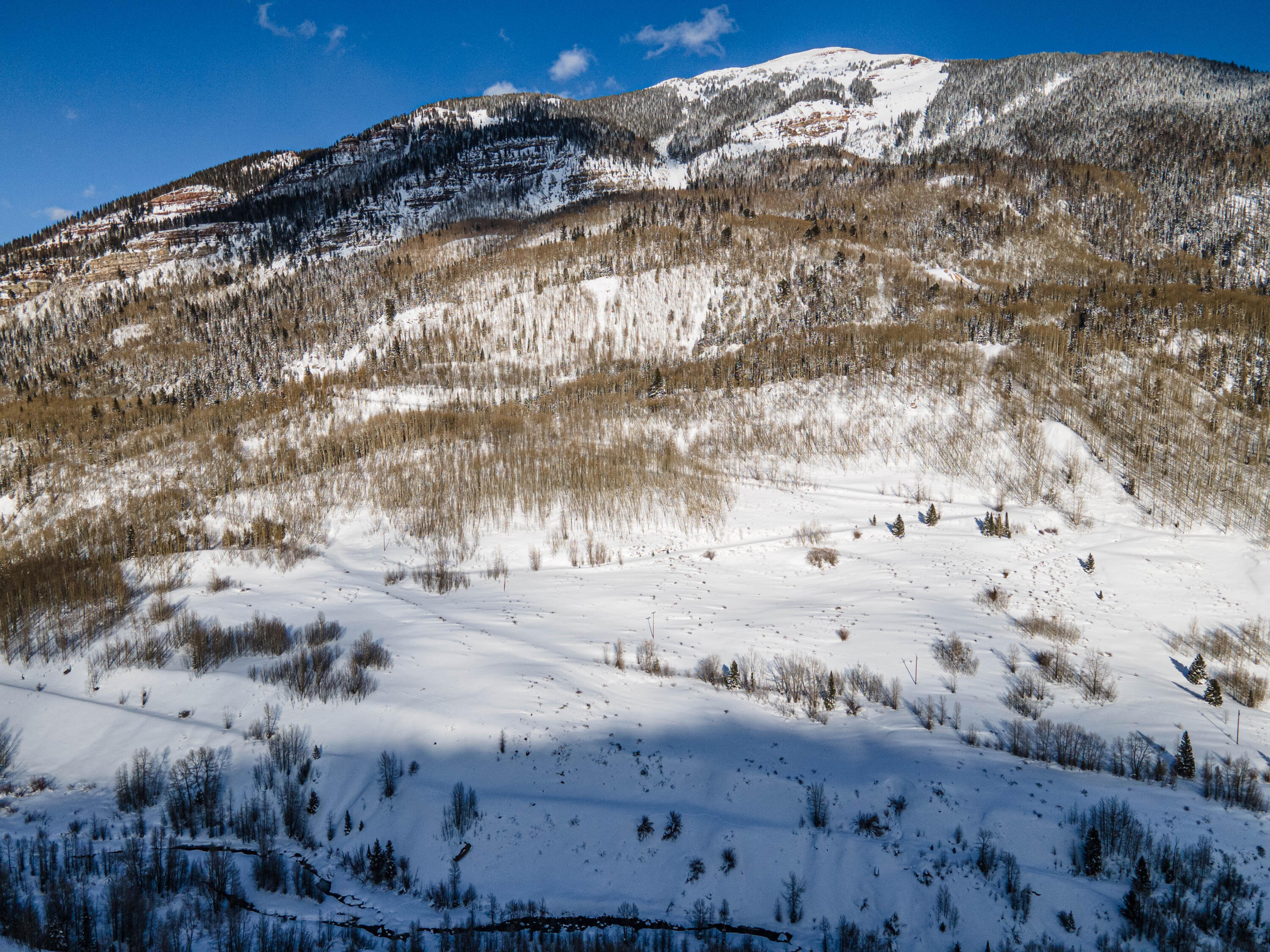 Tbd Tbd Rico, CO 81332 - Photo 4 of 38 Rico_TellurideProperties_NR_07