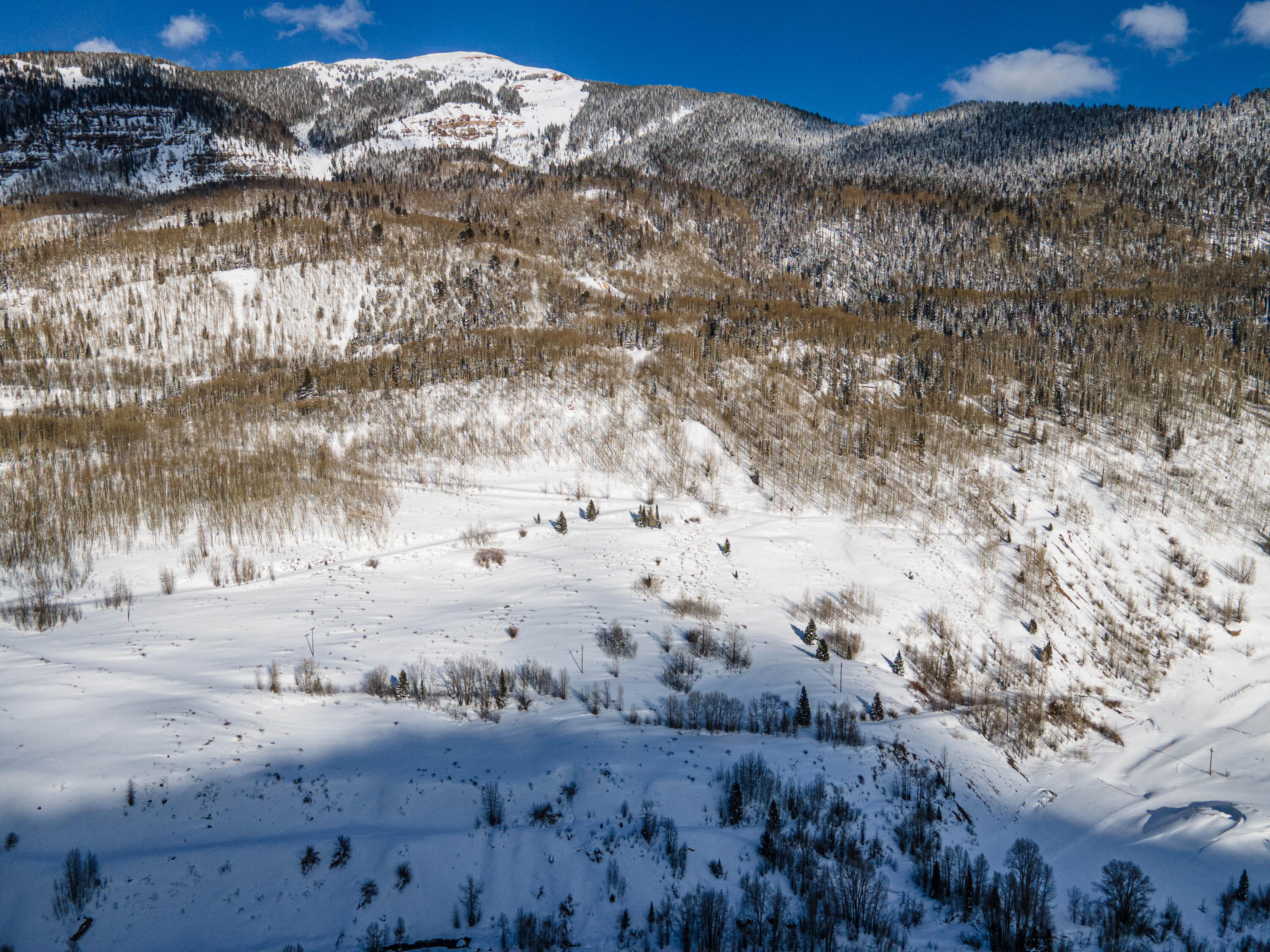 Tbd Tbd Rico, CO 81332 - Photo 5 of 38 Rico_TellurideProperties_NR_09