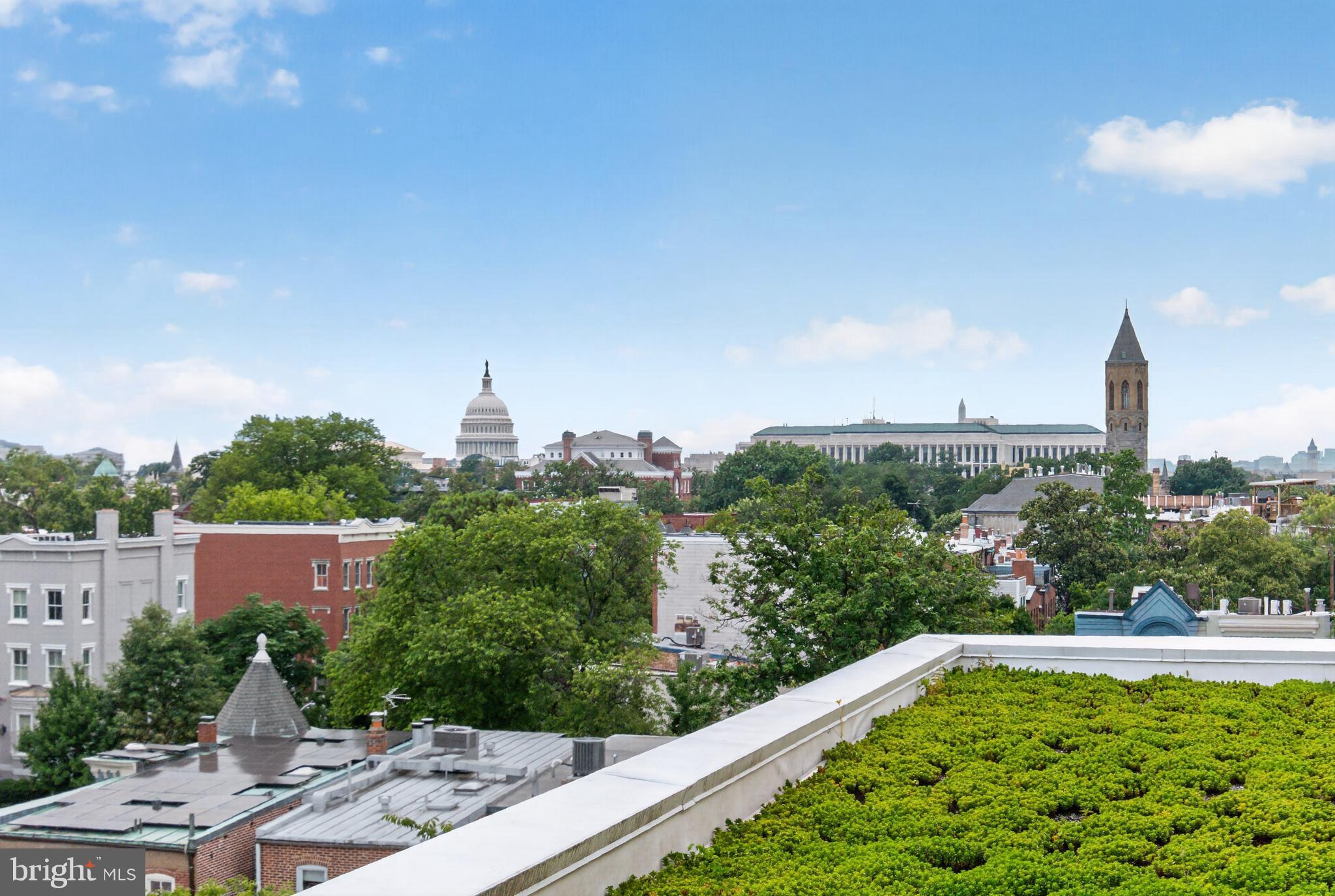 300 8th Street Northeast, Unit 209 Washington, DC 20002 - Photo 3 of 27 Amazing views from the shared roof top deck!