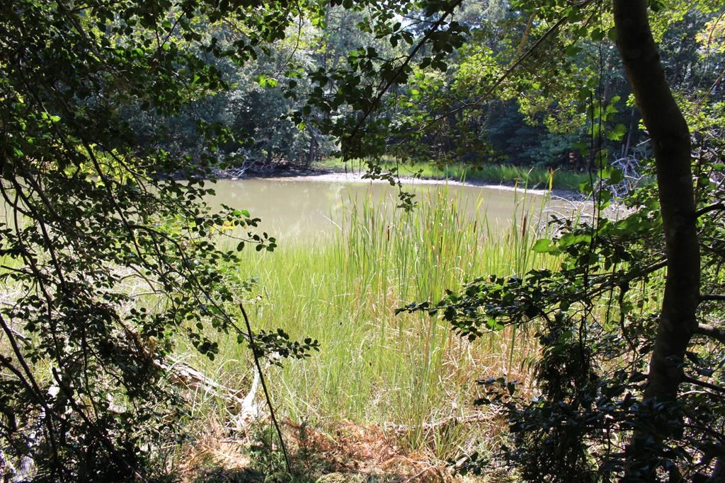 Lot 14 Hideaway Cove Road, Unit 14 Exmore, VA 23350 - Photo 10 of 16
