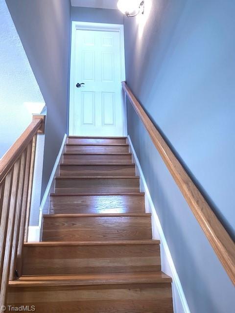 531 Shingle Gap Road Purlear, NC 28665 - Photo 19 of 38
