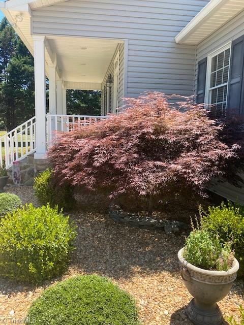 531 Shingle Gap Road Purlear, NC 28665 - Photo 33 of 38