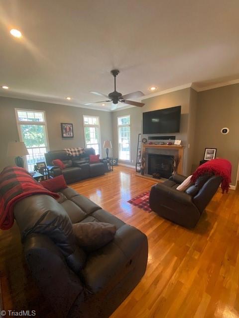 531 Shingle Gap Road Purlear, NC 28665 - Photo 4 of 38
