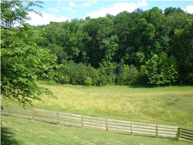 1208 No Pone Valley Road Northwest Georgetown, TN 37336 - Photo 4 of 24 Additional Photo