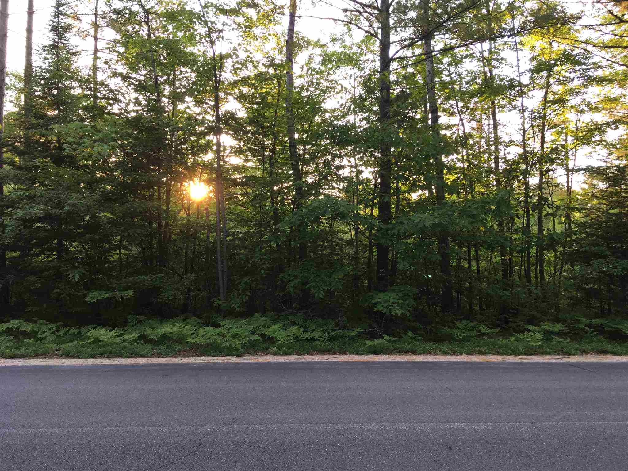0 Jefferson Road, Unit LOT #11 Center Conway, NH 03813 - Photo 3 of 3