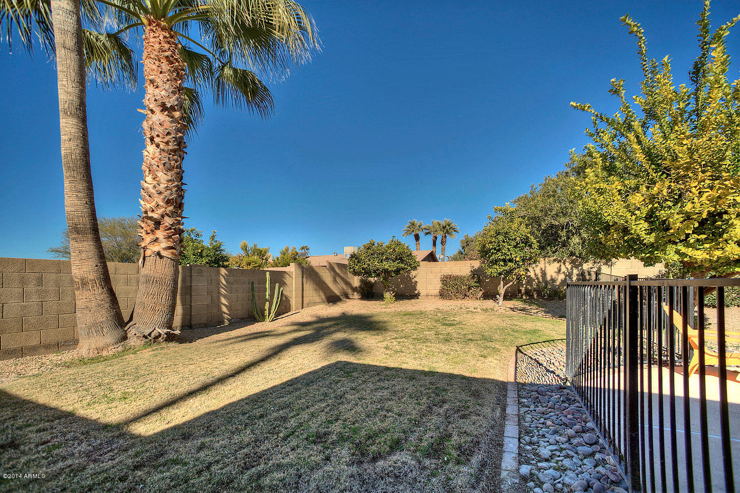 4308 East Hearn Road Phoenix, AZ 85032 - Photo 22 of 27 Backyard
