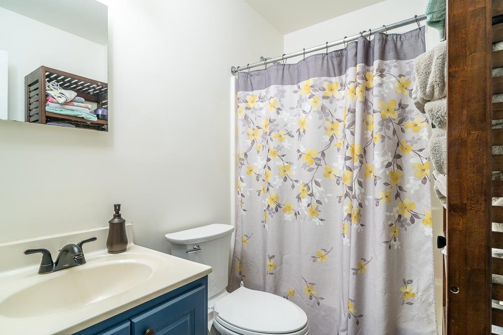 1139 Johnson Road Mineral, VA 23117 - Photo 16 of 33 a bathroom with a sink toilet and shower