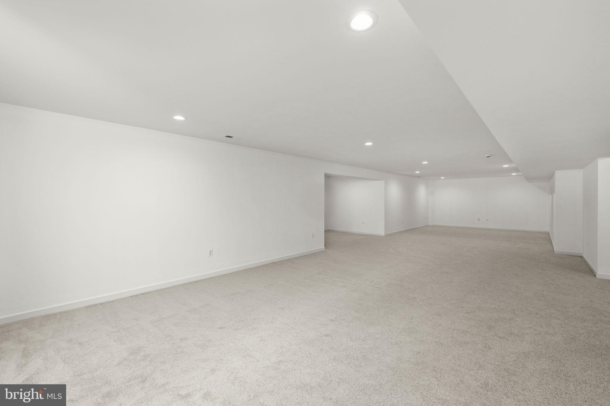 9092 Caledon Road King George, VA 22485 - Photo 48 of 79 Basement Rec Room w/ Wet Bar Rough-In