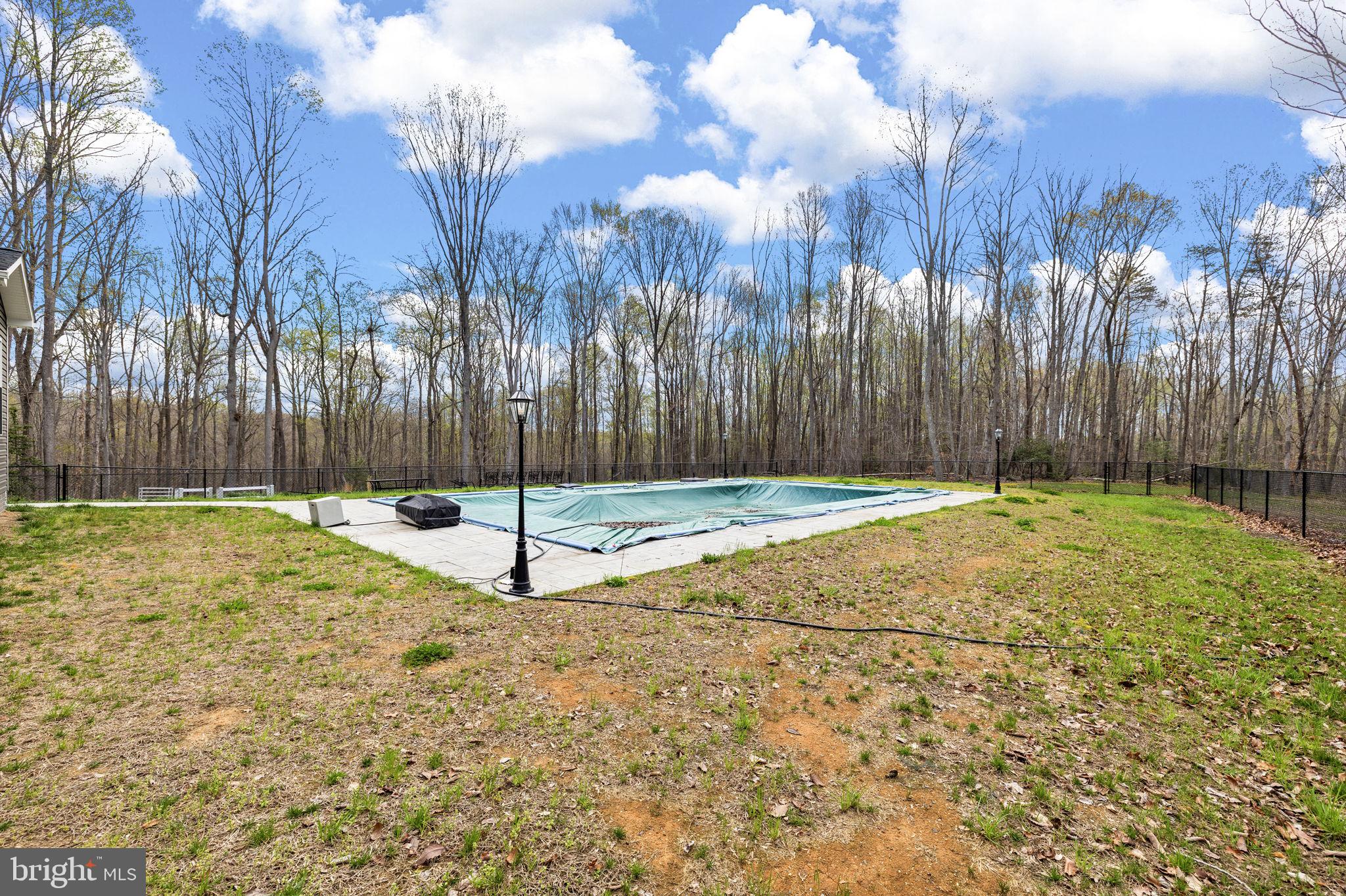 9092 Caledon Road King George, VA 22485 - Photo 52 of 79 Saltwater Pool