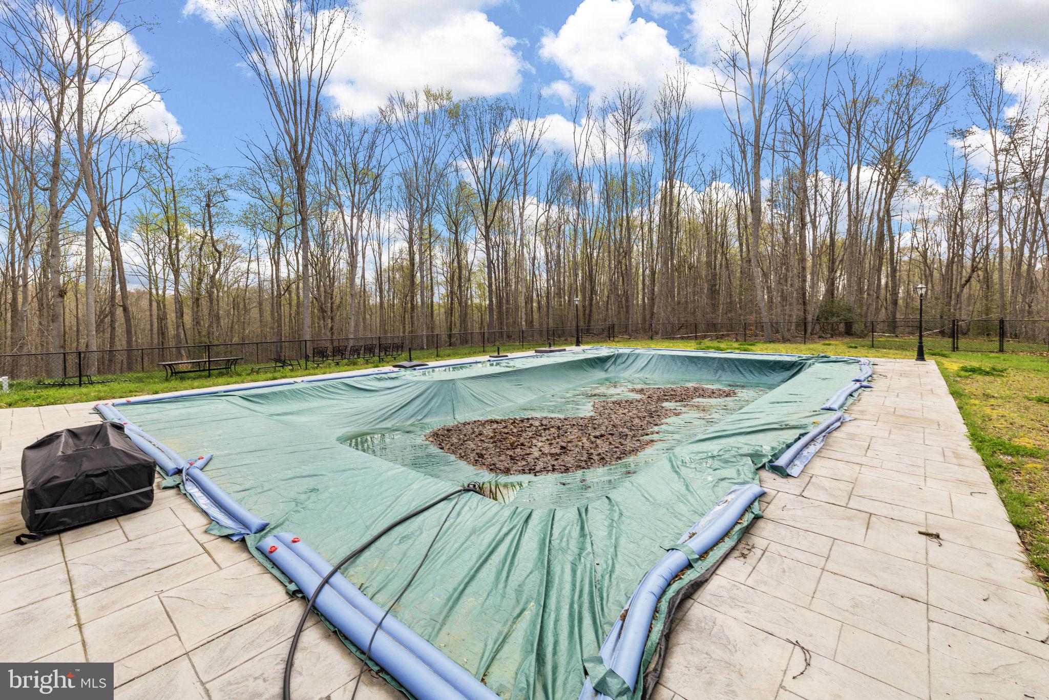 9092 Caledon Road King George, VA 22485 - Photo 53 of 79 Saltwater Pool