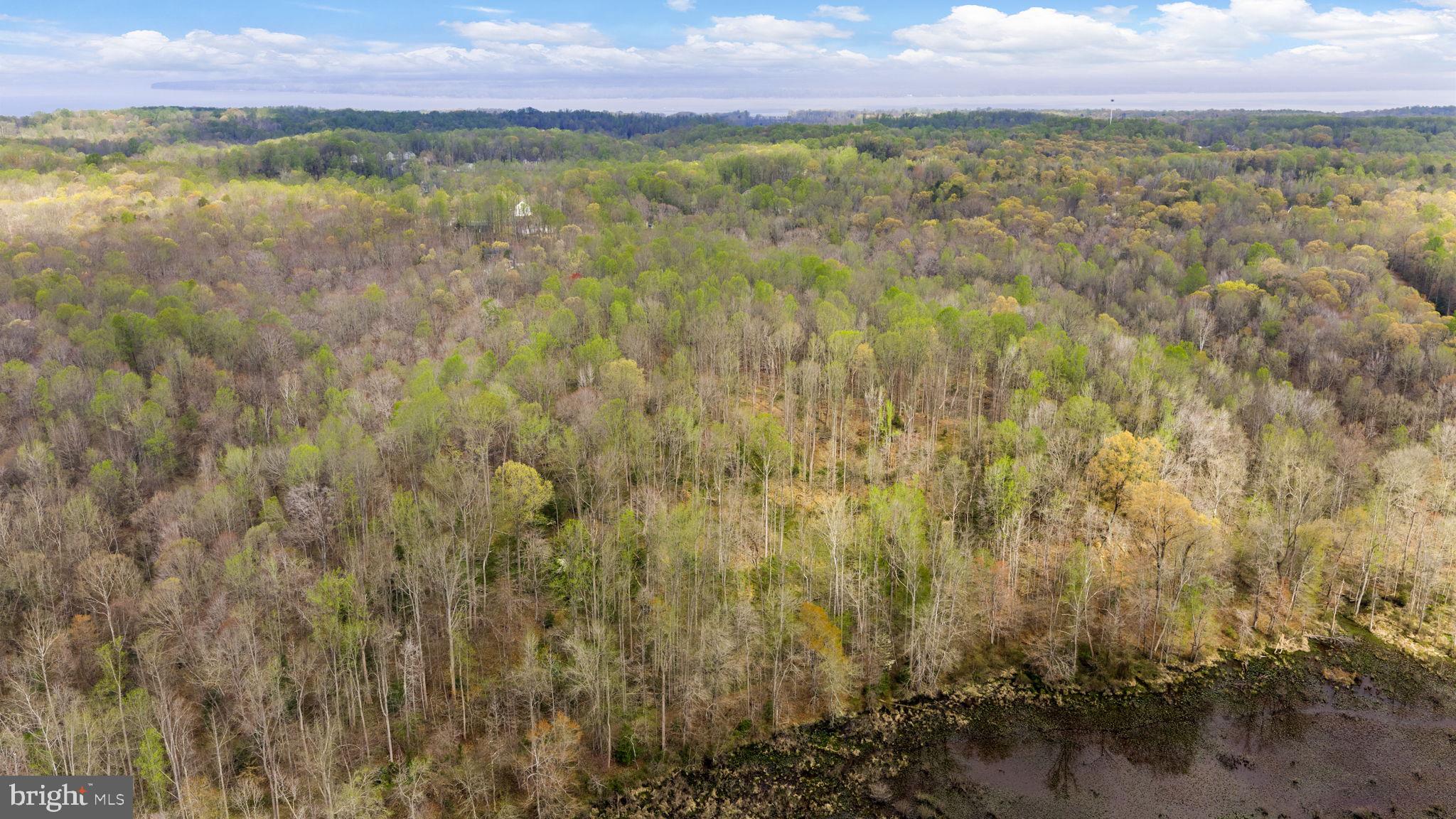 9092 Caledon Road King George, VA 22485 - Photo 66 of 79