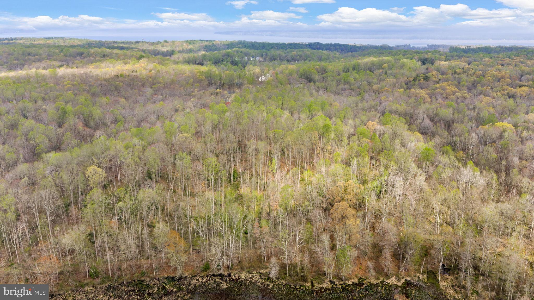 9092 Caledon Road King George, VA 22485 - Photo 67 of 79