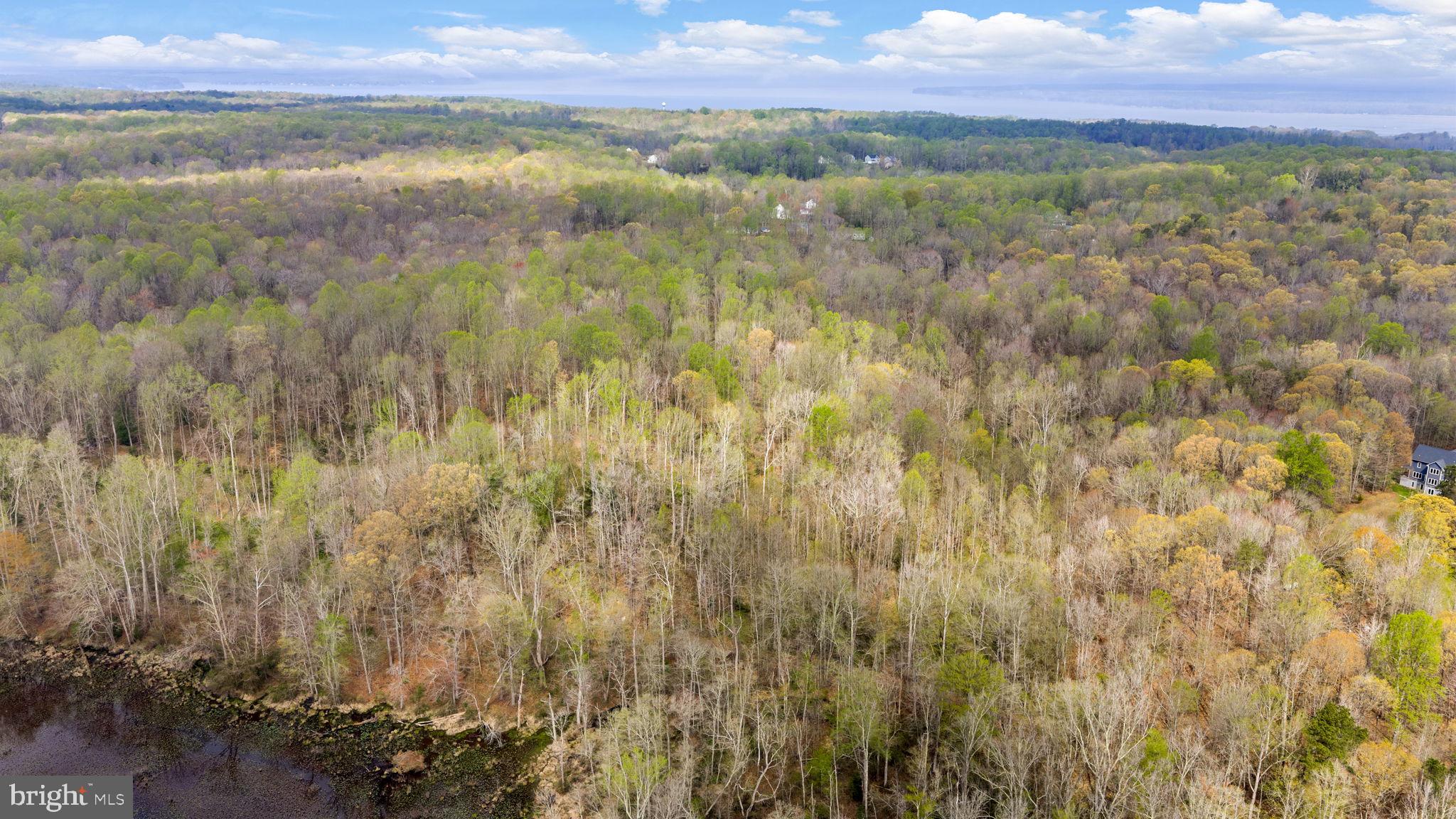 9092 Caledon Road King George, VA 22485 - Photo 68 of 79