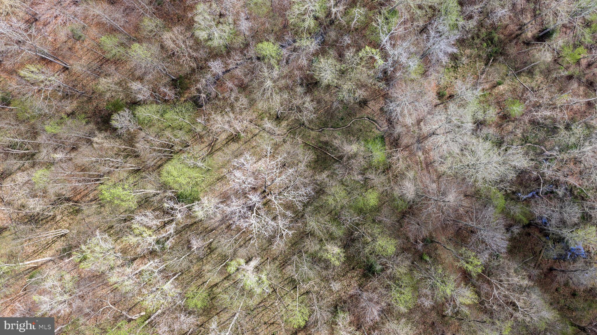 9092 Caledon Road King George, VA 22485 - Photo 69 of 79