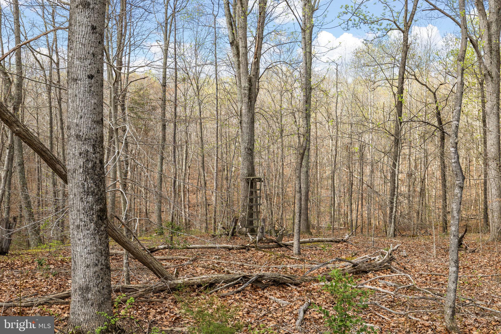 9092 Caledon Road King George, VA 22485 - Photo 75 of 79