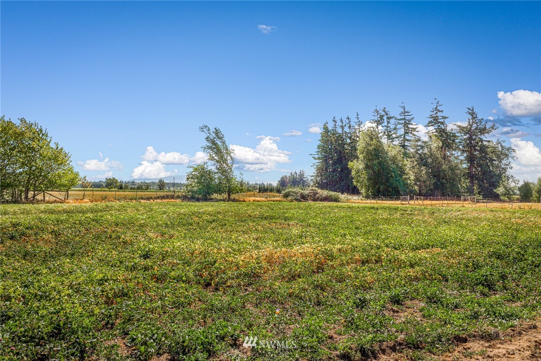 770 West Axton Road Bellingham, WA 98226 - Photo 26 of 40
