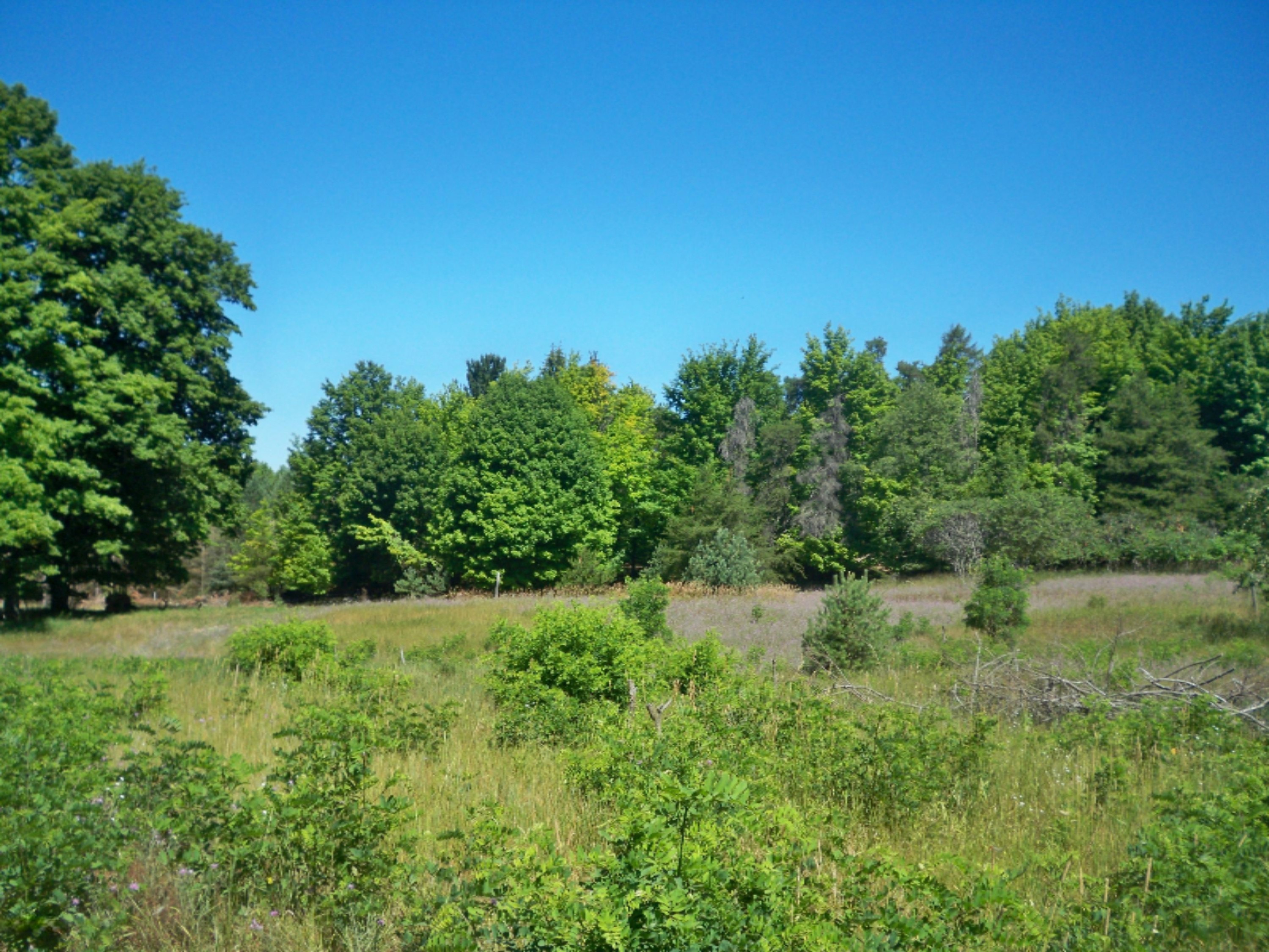 1675 South Darr Road Scottville, MI 49454 - Photo 31 of 31 wooded 10