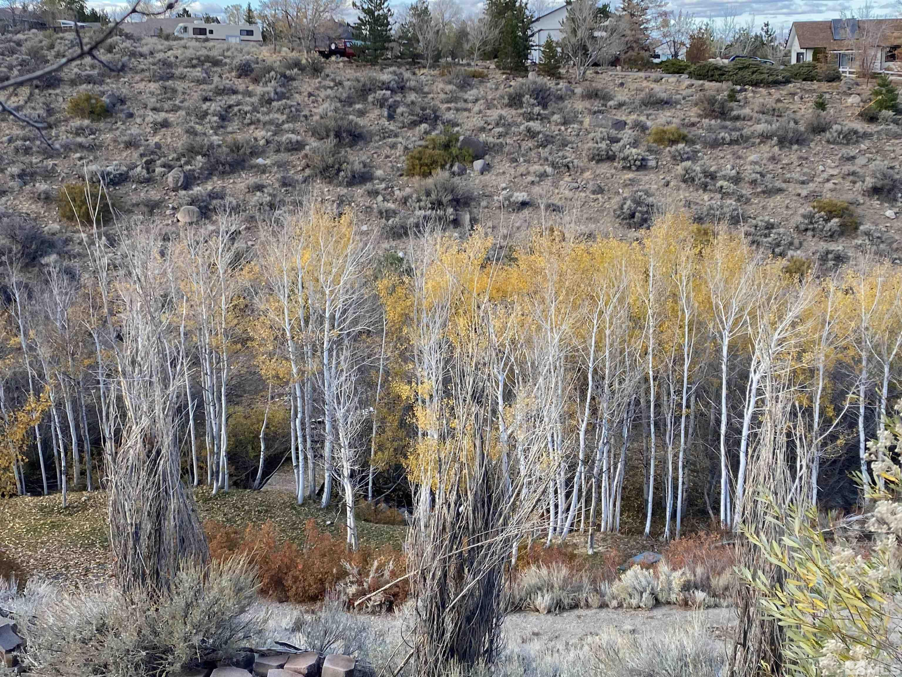 4775 Mt Rose Highway Reno, NV 89511 - Photo 31 of 40 Photo 33