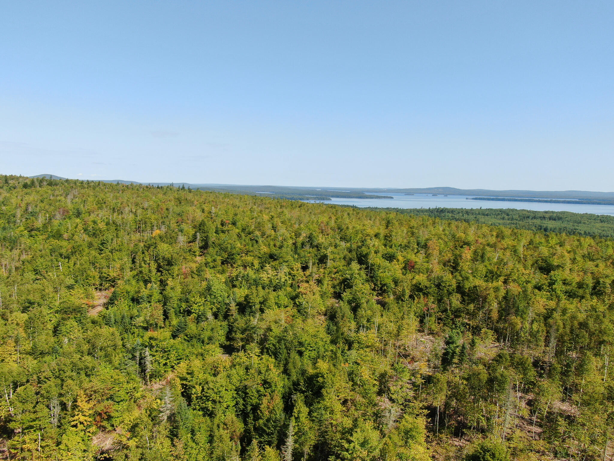Lot 7 Chadwick Pt Road Weston, ME 04424 - Photo 10 of 18 DJI_0753