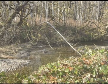 a view of small yard