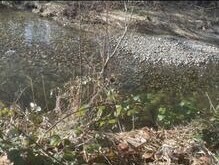 0 Sauk Road Concrete, WA 98237 - Photo 8 of 10