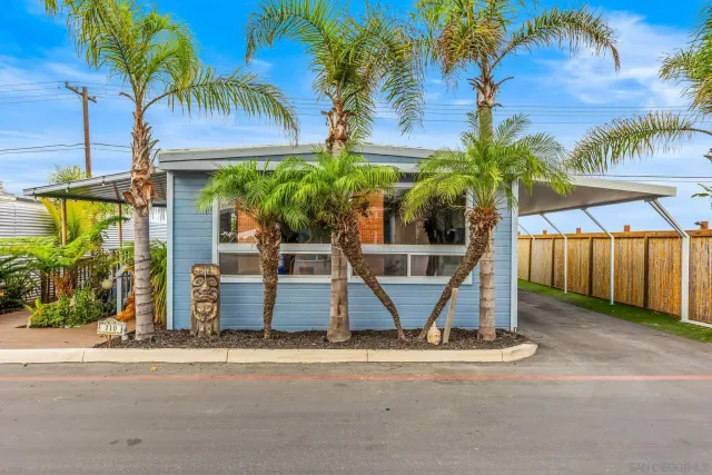 a view of a backyard with a fountain plants and palm tree