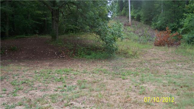 501 Grindstone Hollow Road Dickson, TN 37055 - Photo 8 of 15 Yard