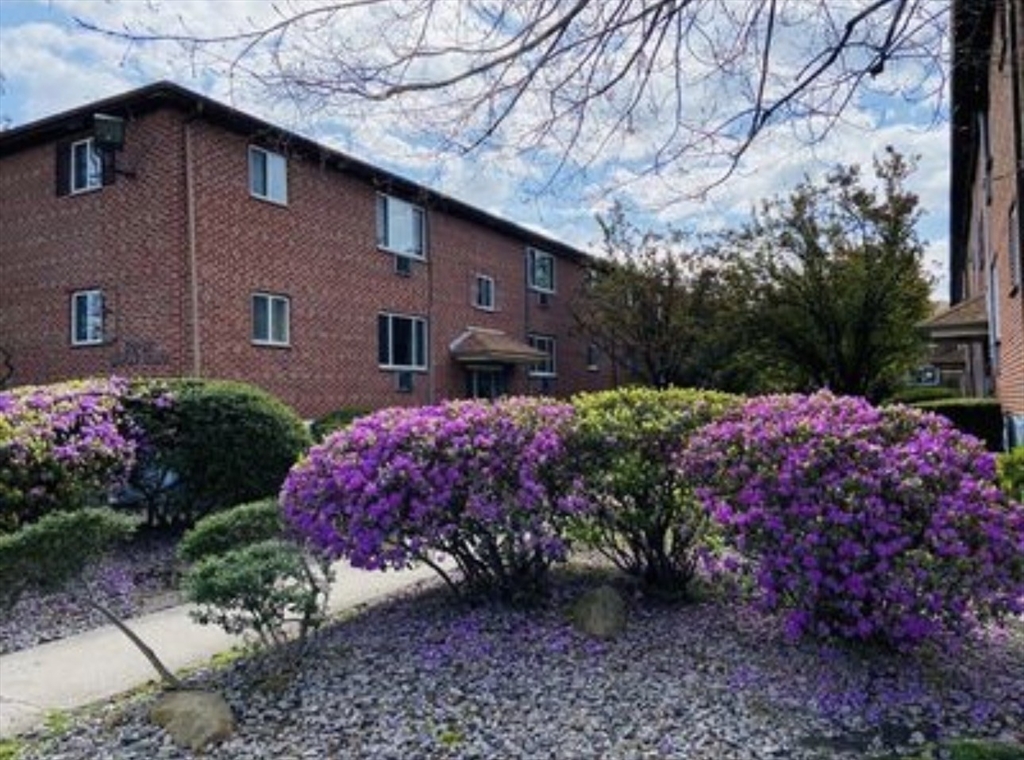 50 Bryon Road, Unit 6 Chestnut Hill, MA 02467 - Photo 11 of 11