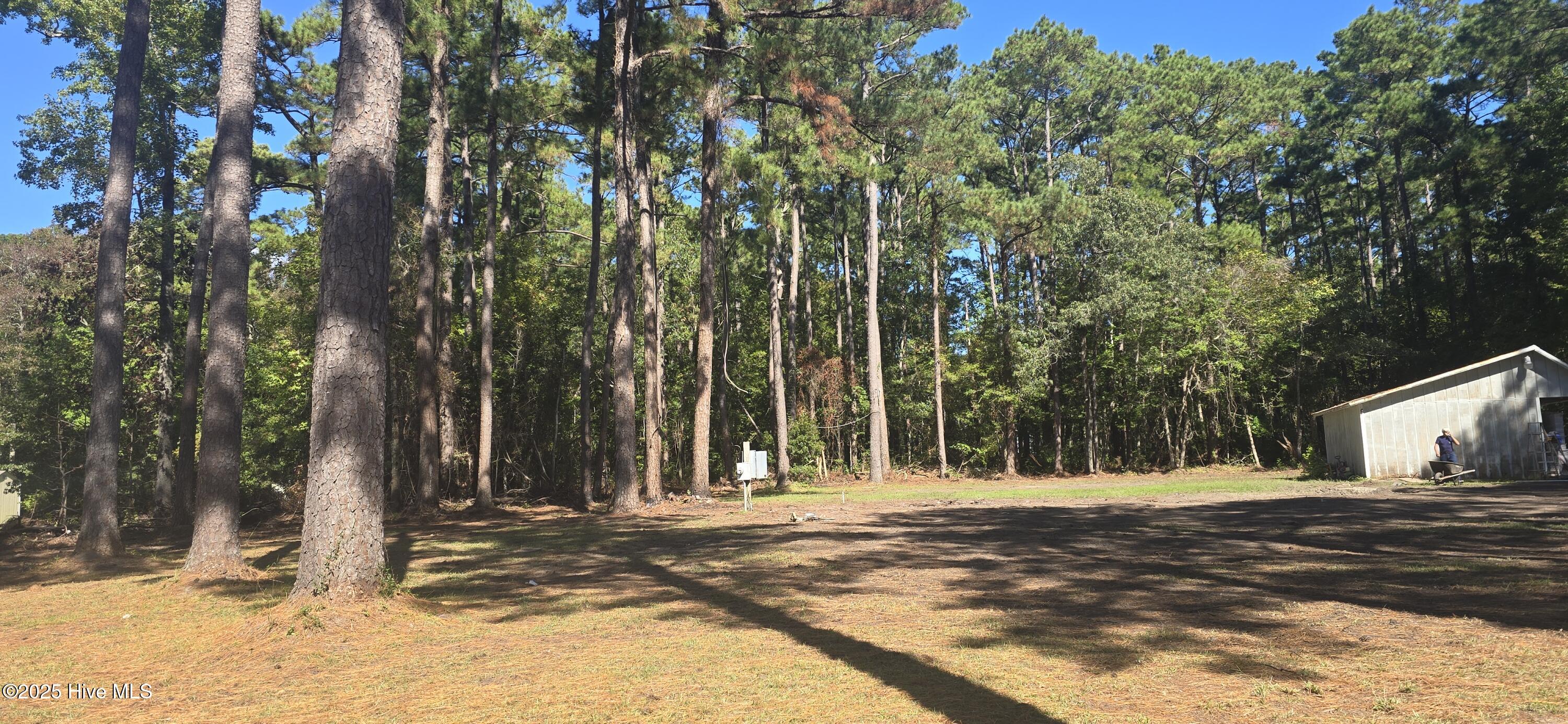 250 North Pigott Road Gloucester, NC 28528 - Photo 1 of 8 Build Your Dream Home – A blank canvas ready for your vision!